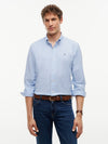 Provence/Optic White Stripe