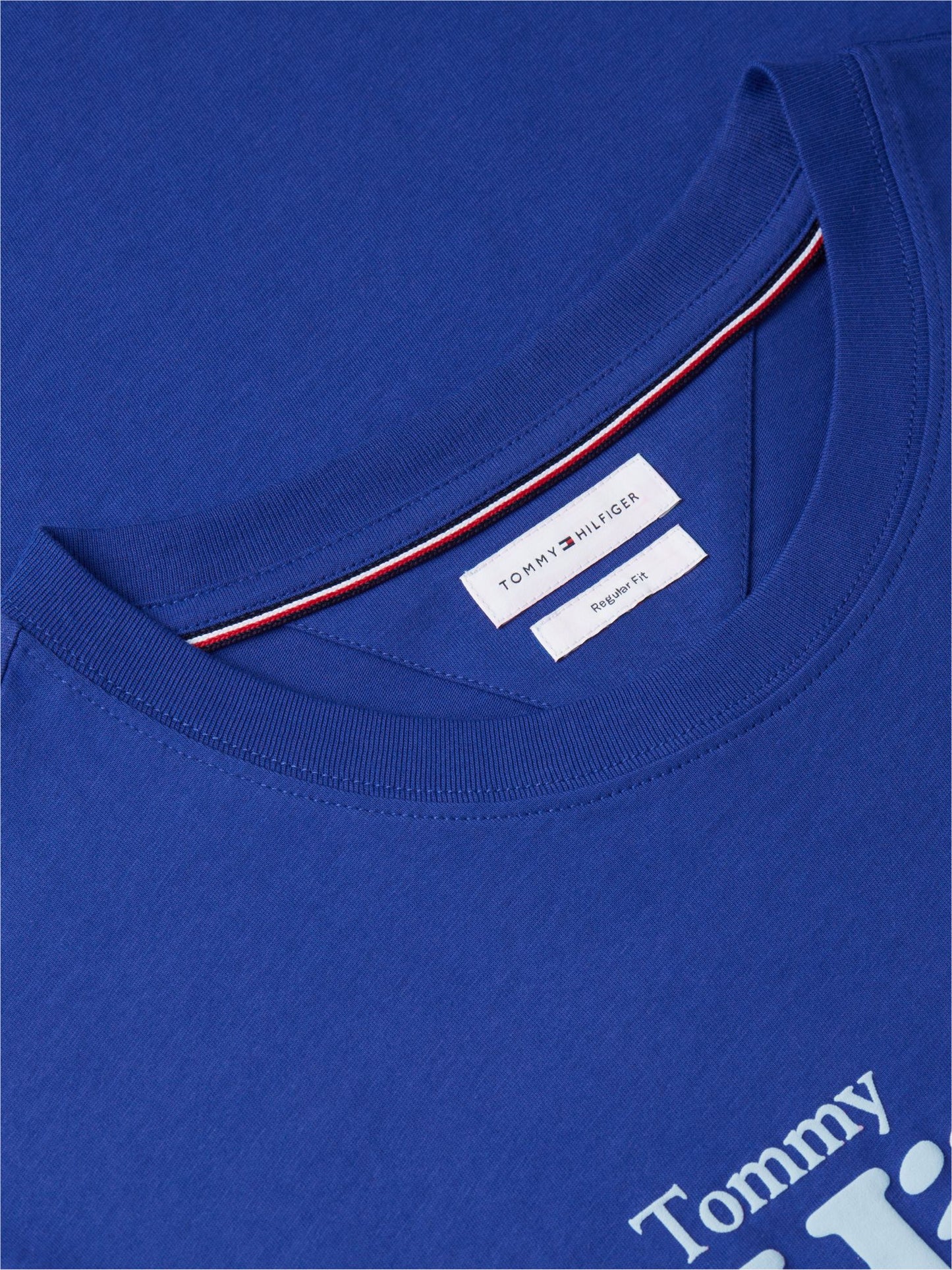 Tommy Hilfiger Nautical Hilfiger Logo T-Shirt