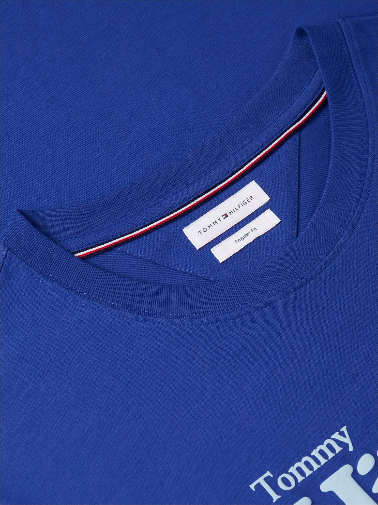 Tommy Hilfiger Nautical Hilfiger Logo T-Shirt