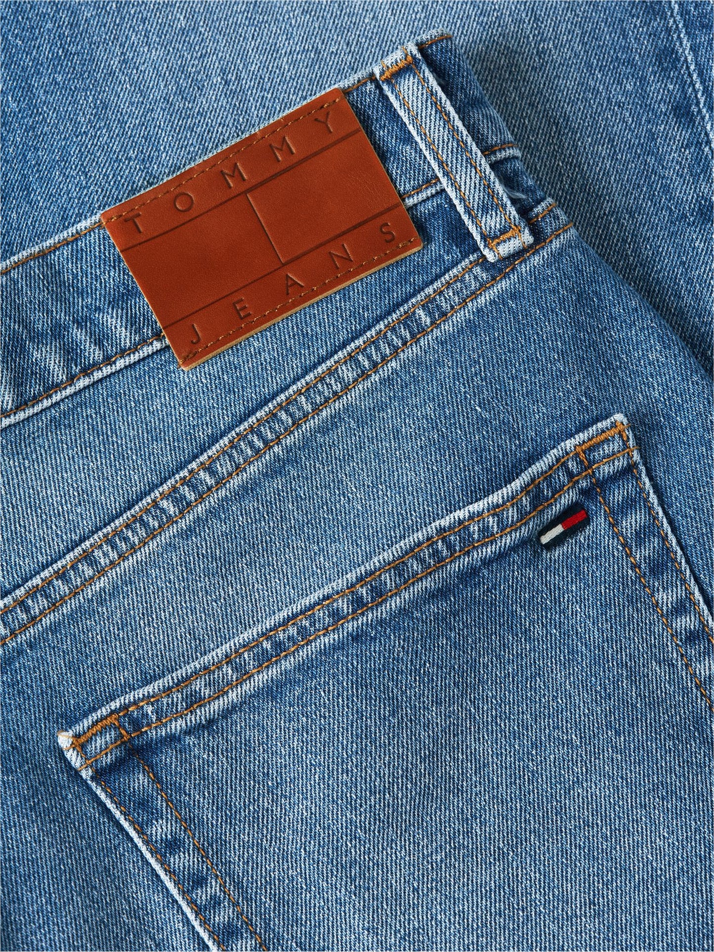 Tommy Hilfiger Tommy Jeans Loose Jean