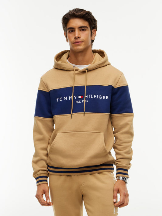 Tommy Hilfiger Tommy Logo Colorblock Hoodie