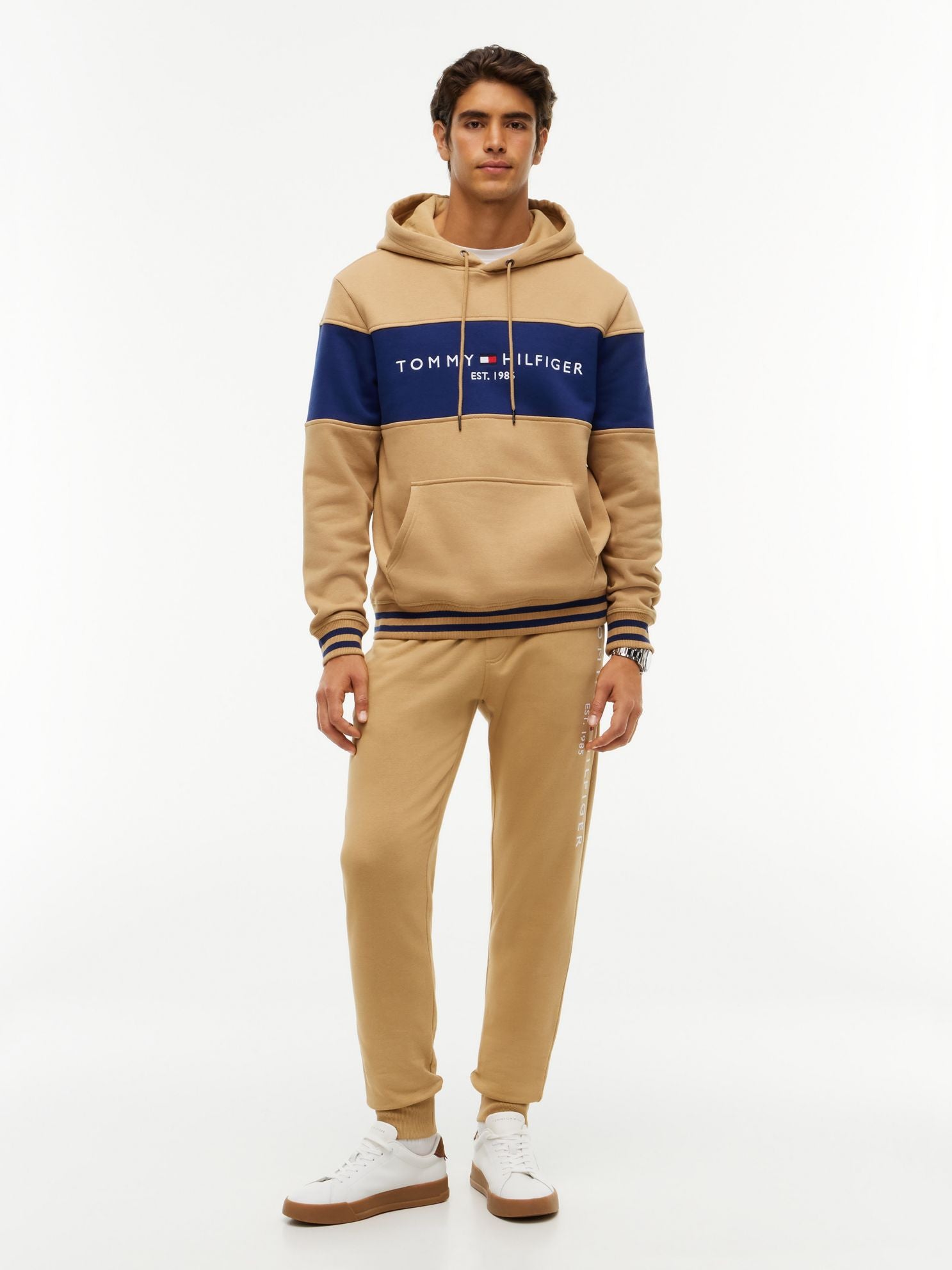 Tommy Hilfiger Tommy Logo Colorblock Hoodie