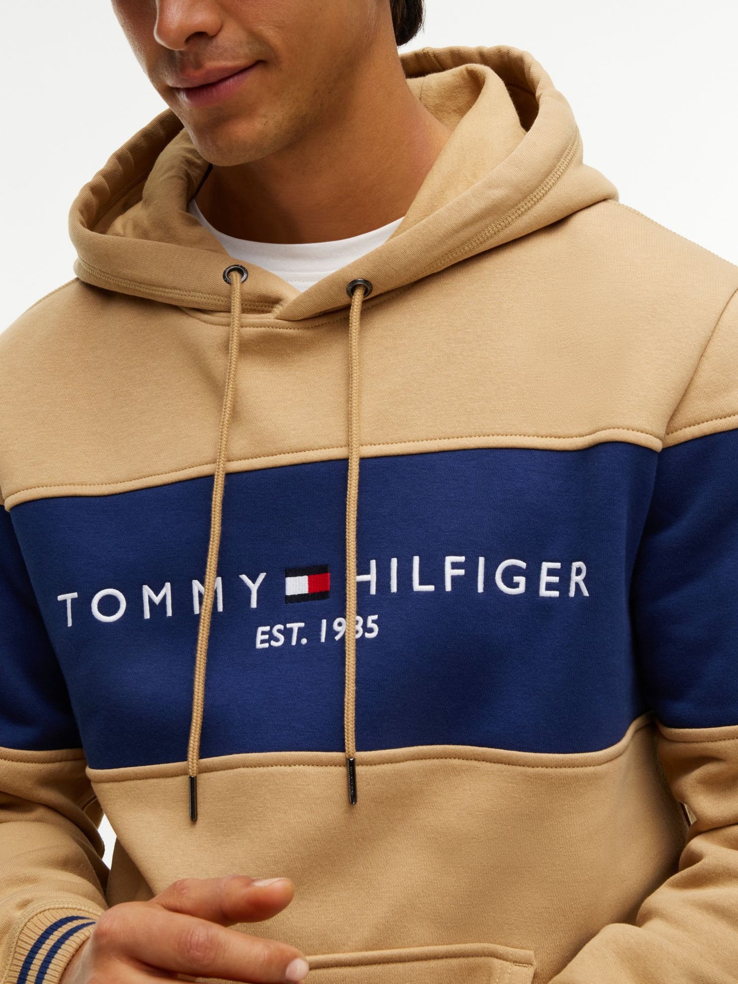 Tommy Hilfiger Tommy Logo Colorblock Hoodie
