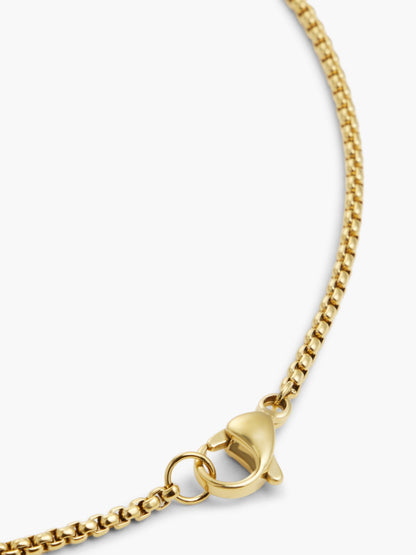 Tommy Hilfiger Compass Medallion Necklace