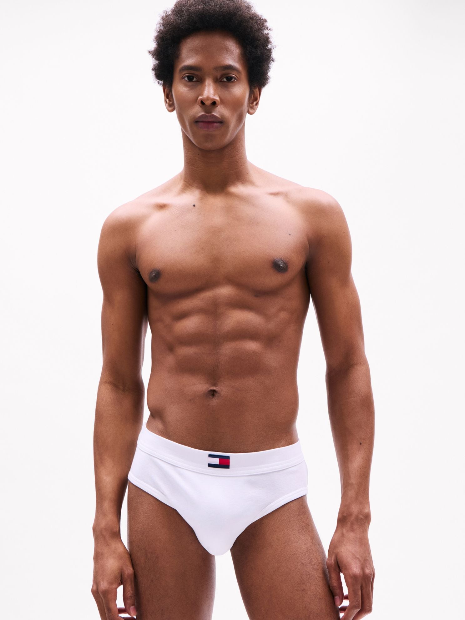 Tommy Hilfiger Cotton Classics Hip Brief 4-Pack