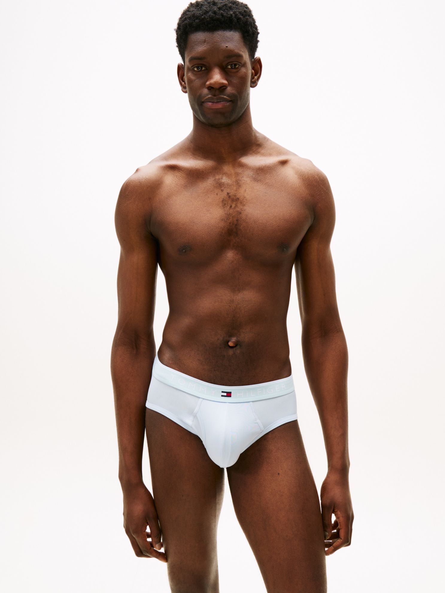 Tommy Hilfiger TH Micro Brief 3-Pack