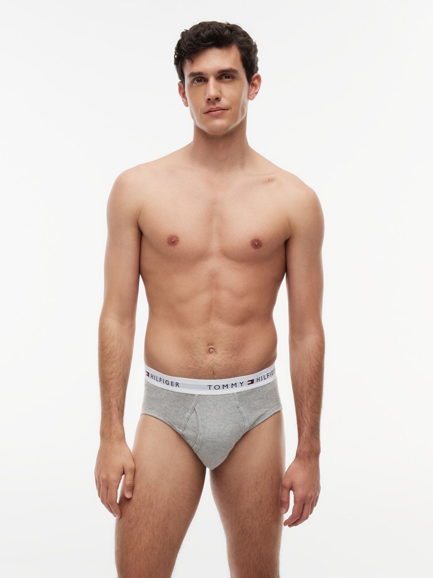 Tommy Hilfiger Cotton Classics Brief 4-Pack