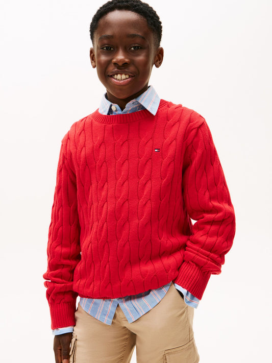 Tommy Hilfiger Kids' Cable Knit Sweater
