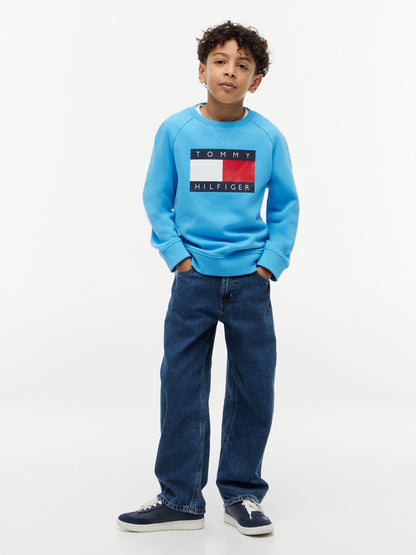 Tommy Hilfiger Kids' Tommy Flag Logo Raglan Sweatshirt