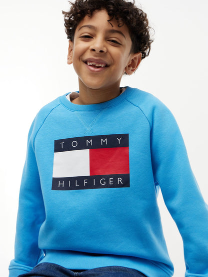 Tommy Hilfiger Kids' Tommy Flag Logo Raglan Sweatshirt