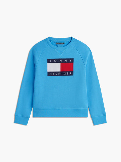 Tommy Hilfiger Kids' Tommy Flag Logo Raglan Sweatshirt