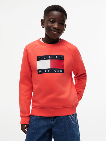 Tommy Hilfiger Kids' Tommy Flag Logo Raglan Sweatshirt