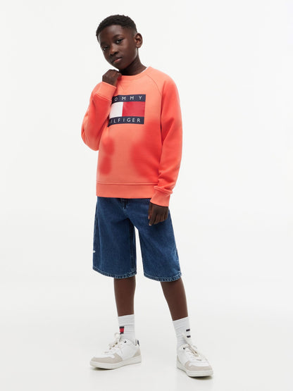 Tommy Hilfiger Kids' Tommy Flag Logo Raglan Sweatshirt
