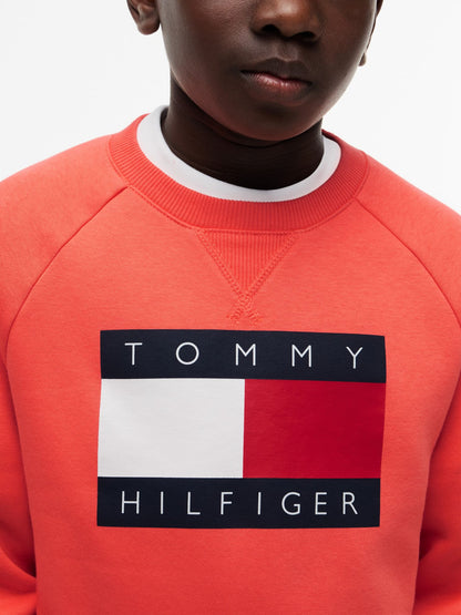 Tommy Hilfiger Kids' Tommy Flag Logo Raglan Sweatshirt