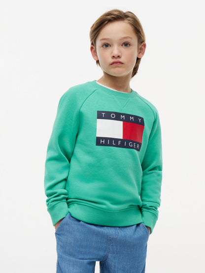 Tommy Hilfiger Kids' Tommy Flag Logo Raglan Sweatshirt