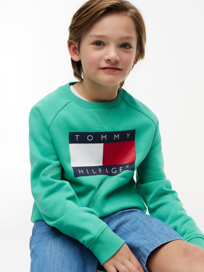 Tommy Hilfiger Kids' Tommy Flag Logo Raglan Sweatshirt