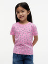 Pink Daisy