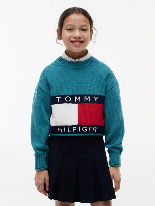 Tommy Hilfiger Kids' Flag Logo Sweater