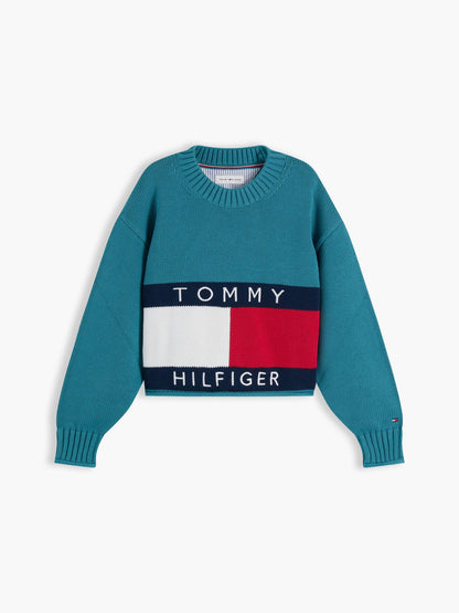 Tommy Hilfiger Kids' Flag Logo Sweater