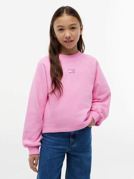 Tommy Hilfiger Kids' Tonal Flag Raglan Sweatshirt